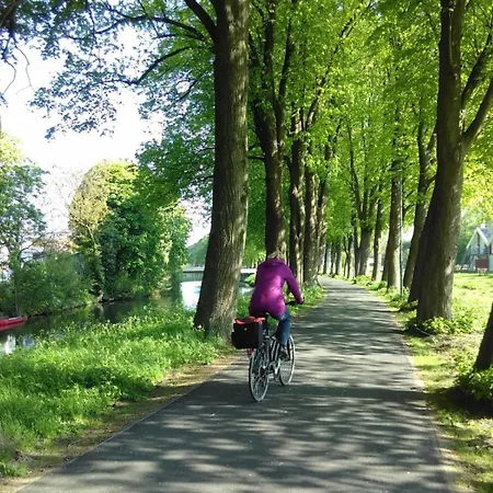 Апартаменты Nino-boardinghouse 3