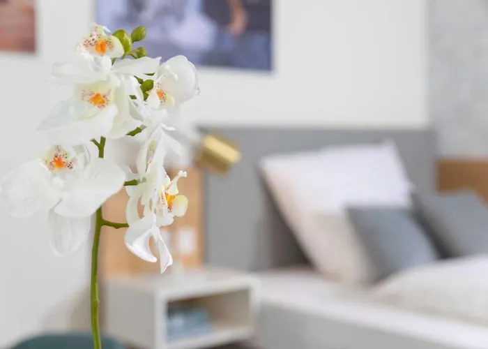 公寓 Nino-boardinghouse 3 *